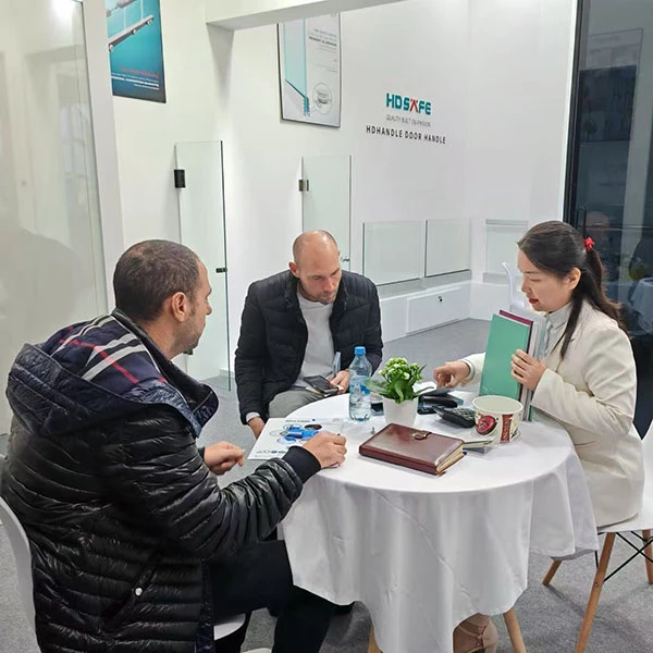 Discussing Glass Door Solutions with International Customers